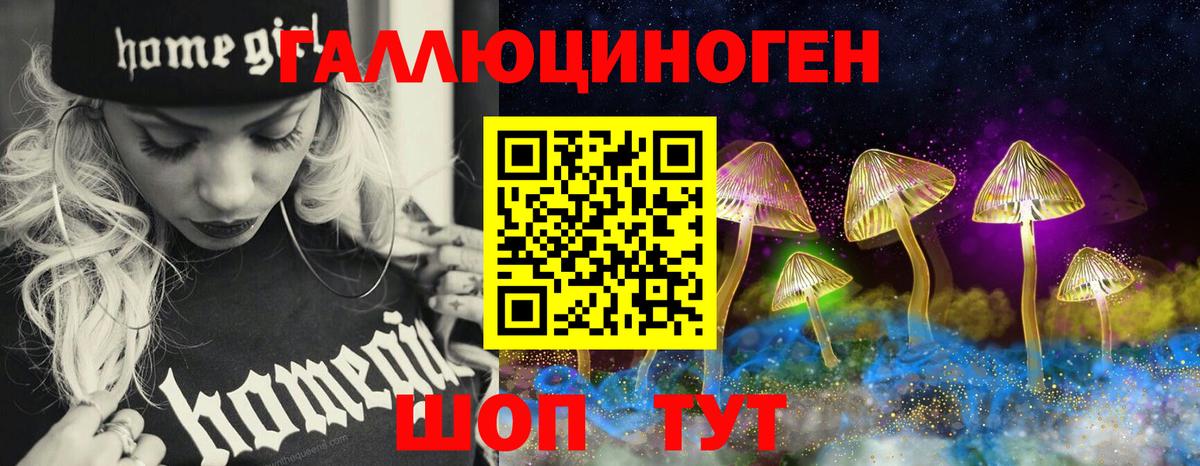 Псилоцибиновые грибы Psilocybine cubensis Иркутск